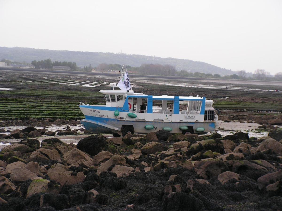 Les Cormorans Villa Saint-Vaast-la-Hougue Ngoại thất bức ảnh