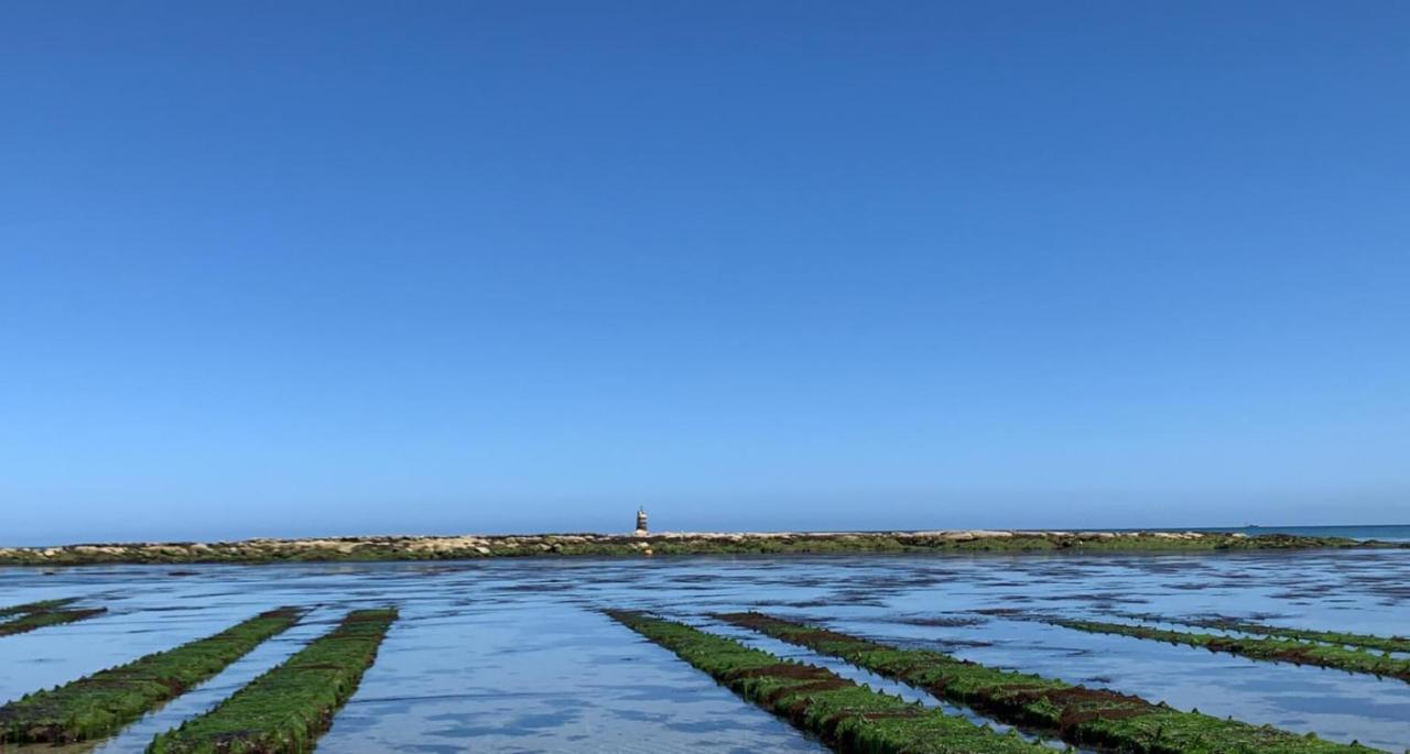 Les Cormorans Villa Saint-Vaast-la-Hougue Ngoại thất bức ảnh